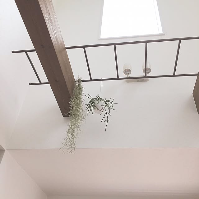 saekaさんの実例写真