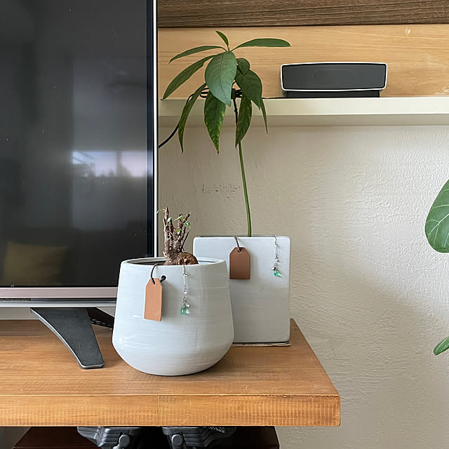 adamoさんの実例写真