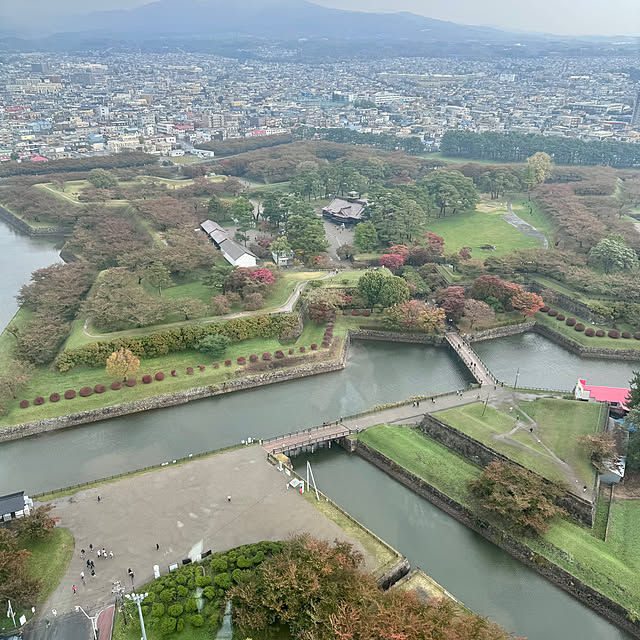 aureaさんの部屋