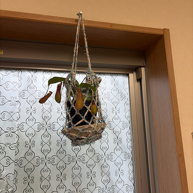 nさんの実例写真