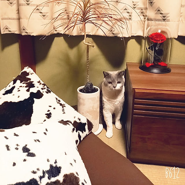 rhuさんの実例写真