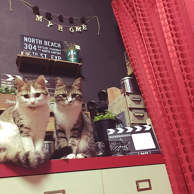 toranosukeさんの実例写真