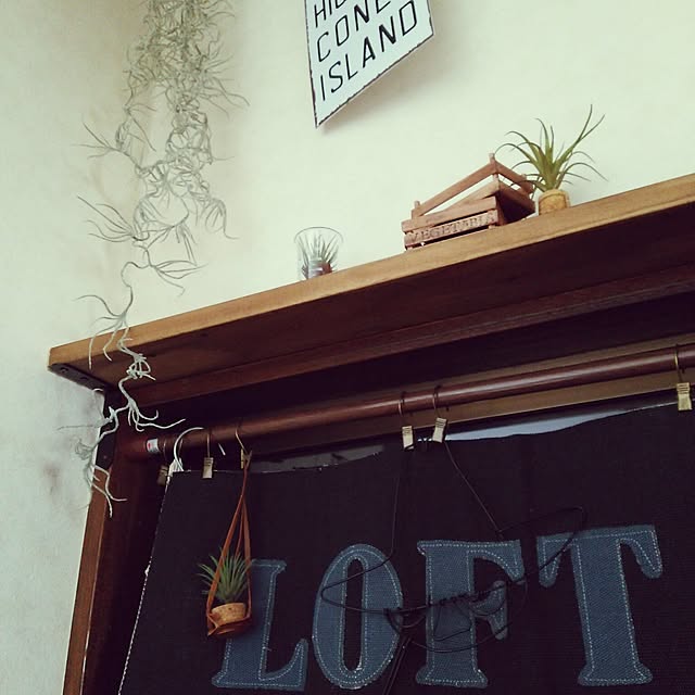 Rieさんの実例写真
