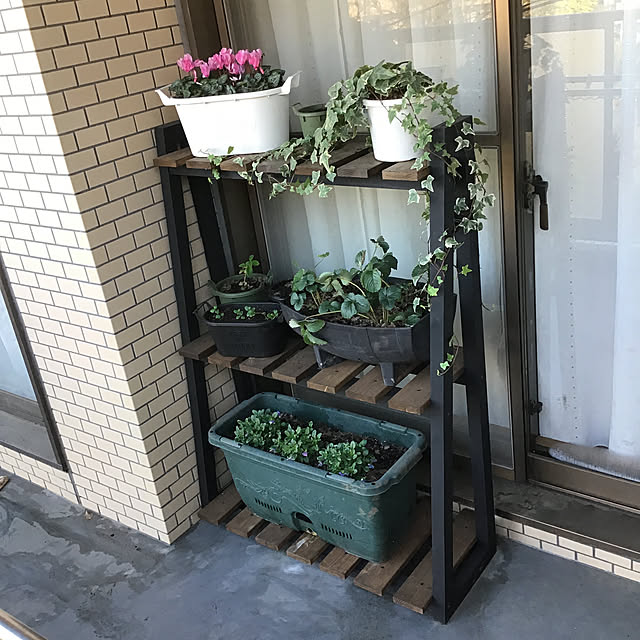 tamaさんの実例写真