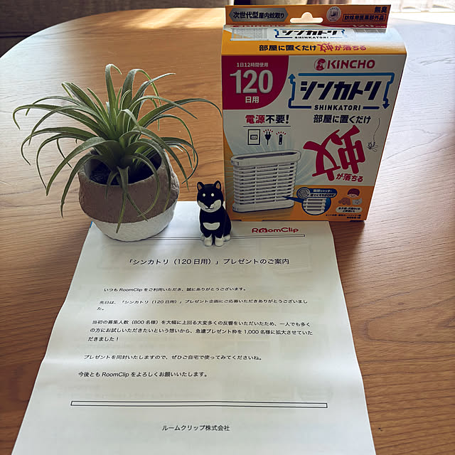 Yuzuさんの実例写真