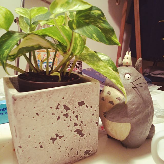 tsukinowaguma_tさんの実例写真