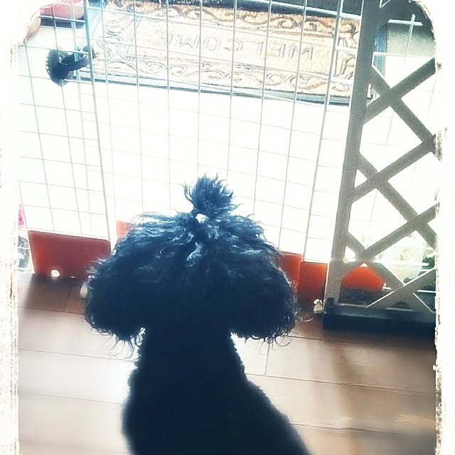 OBTERNIR88filerさんの実例写真