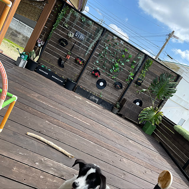 Arisaさんの実例写真