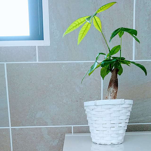 tina315mhさんの実例写真
