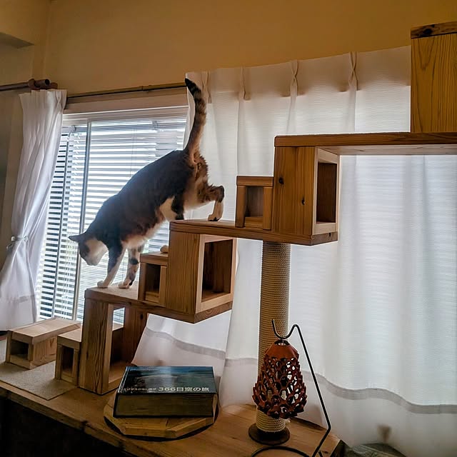 nanaさんの実例写真