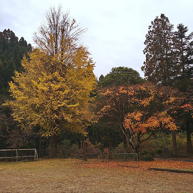 kiyohima229さんの実例写真