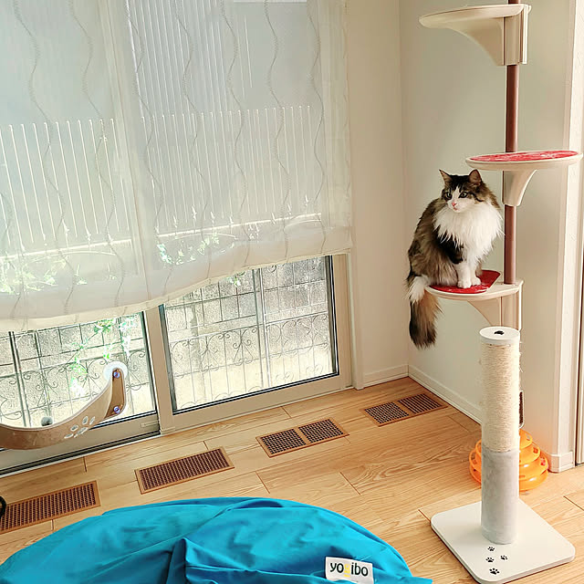 akiko6193さんの実例写真