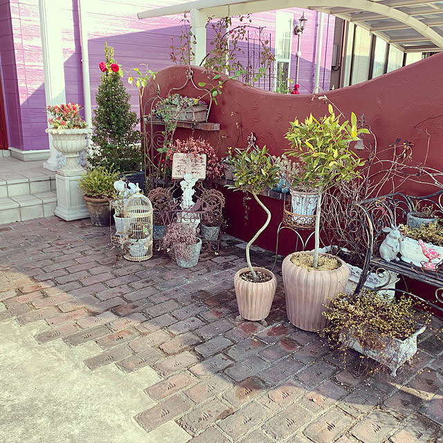 AYUKOさんの実例写真