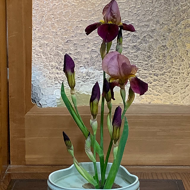 Yuki1120さんの実例写真