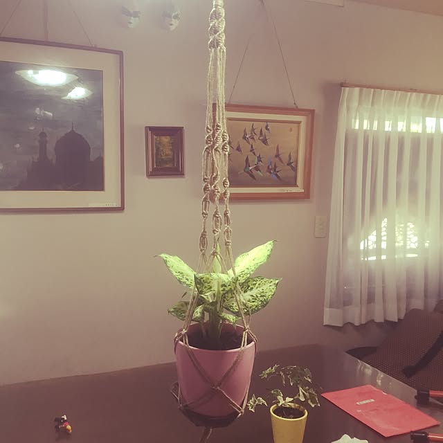 kakaさんの実例写真