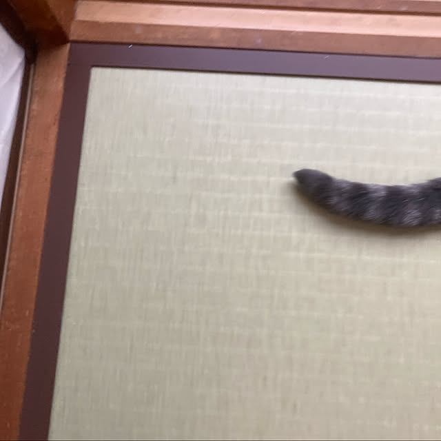 mikamintさんの実例写真