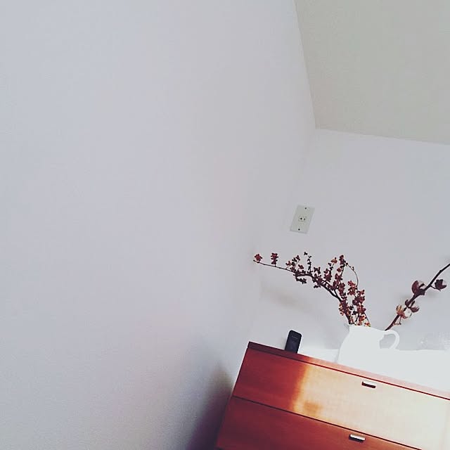 Akikoさんの実例写真