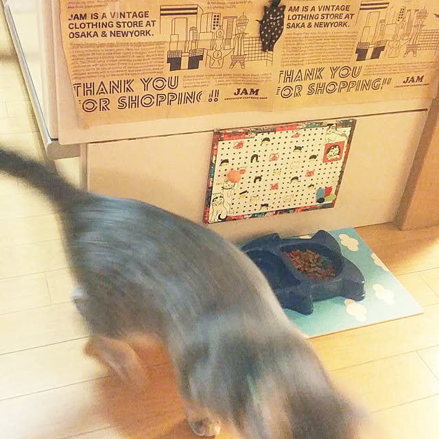 oyumiさんの実例写真