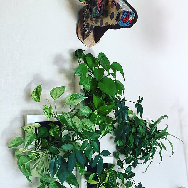 abeさんの実例写真