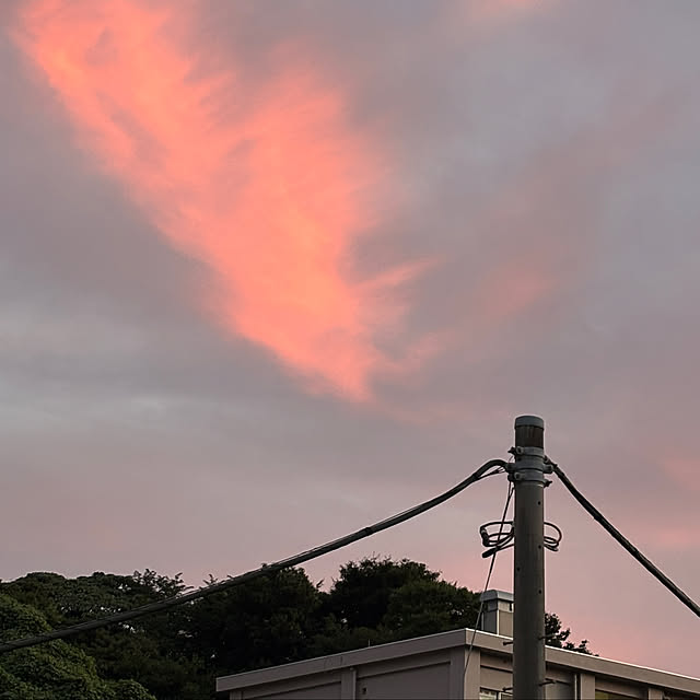 syutmmさんの部屋
