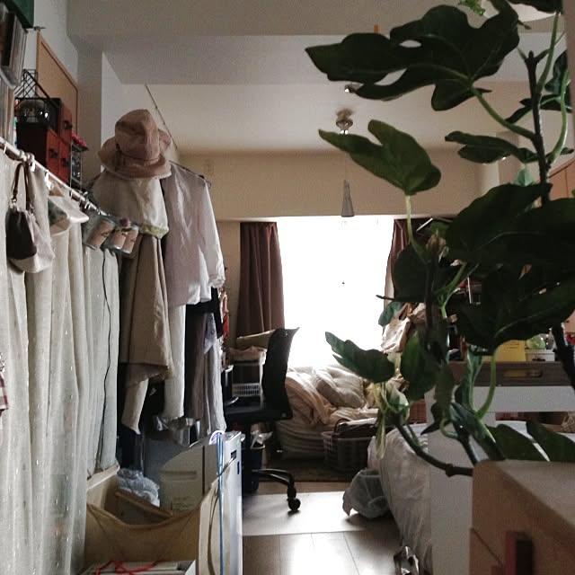 Hayakawaさんの実例写真