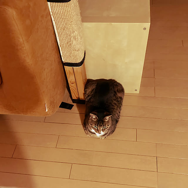 suemonta14さんの実例写真