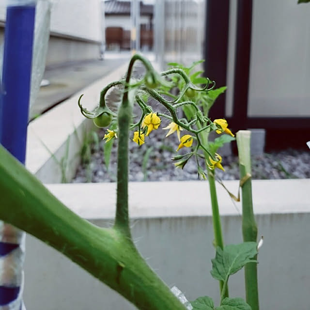 kananaさんの実例写真