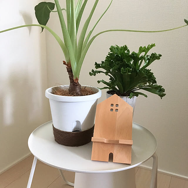 suna_kitsuneさんの実例写真