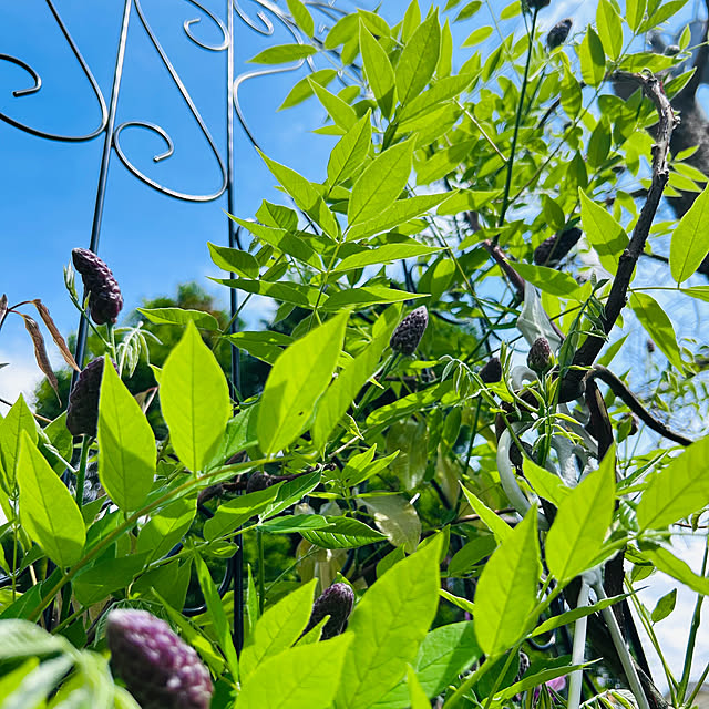 sunabaさんの部屋