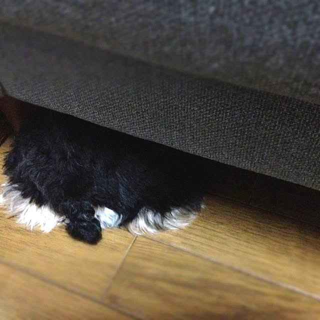 leomamaさんの実例写真