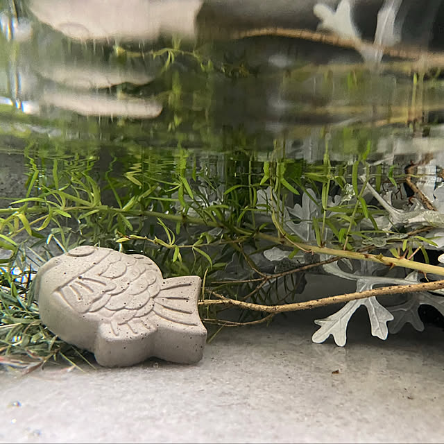 mukuさんの部屋