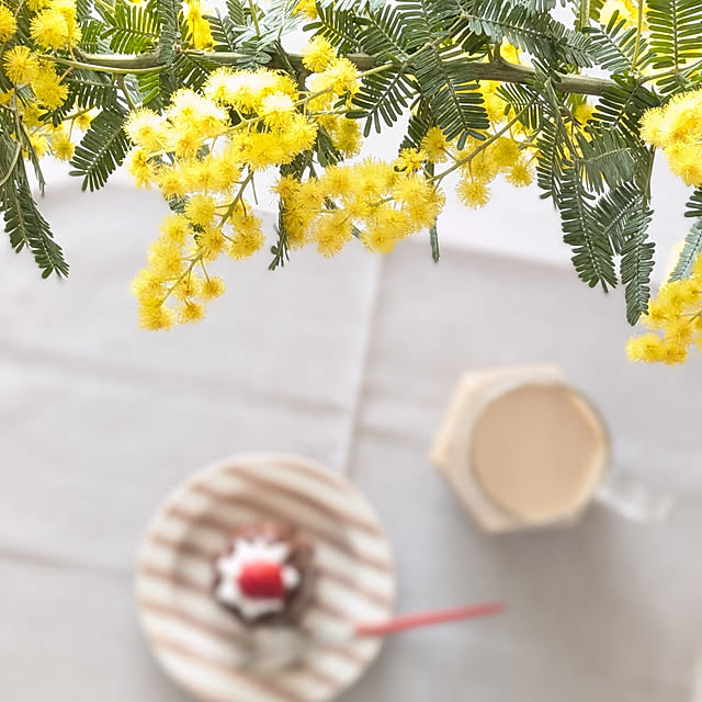 yukkin29さんの実例写真