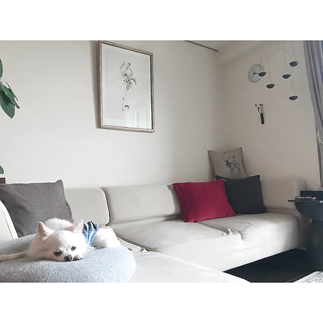 chapiさんの実例写真