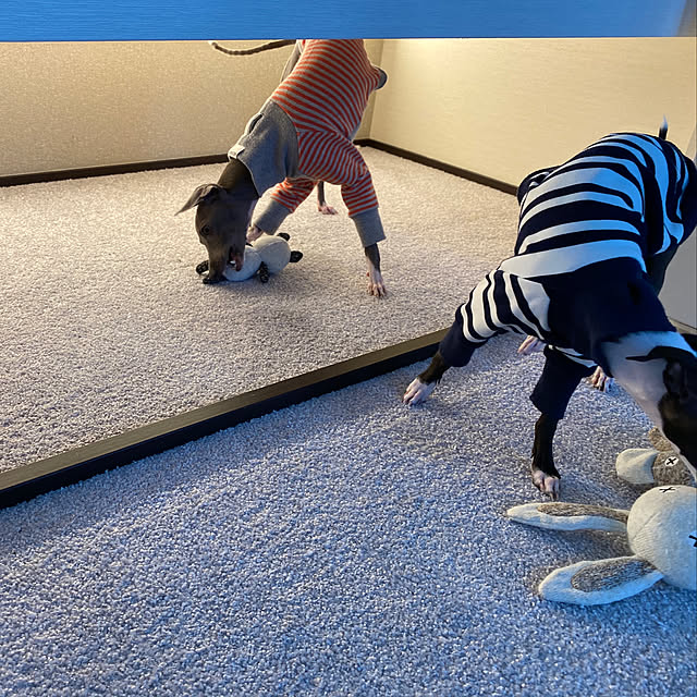 riakanaさんの実例写真