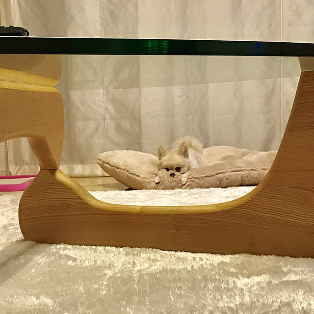 kinakoさんの実例写真