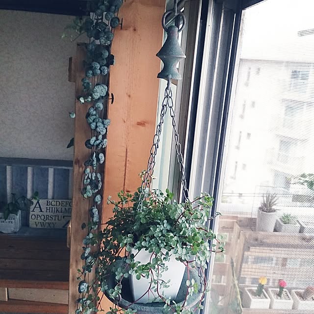miporin0711さんの実例写真