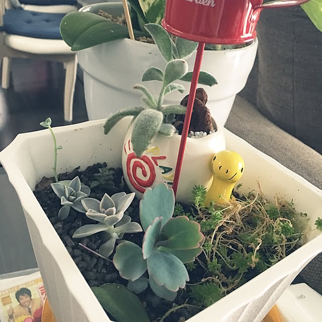 mamamiaさんの実例写真
