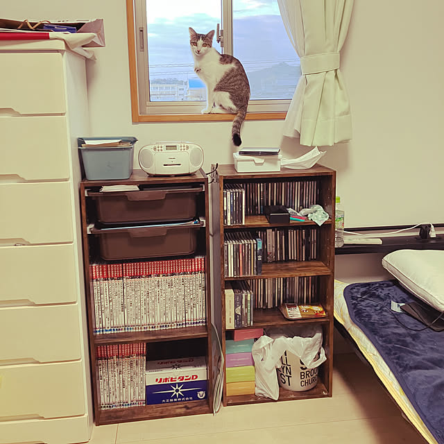 ha_koさんの実例写真