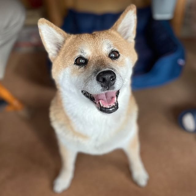 nanaさんの部屋