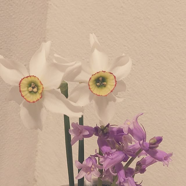 Green-appleさんの部屋
