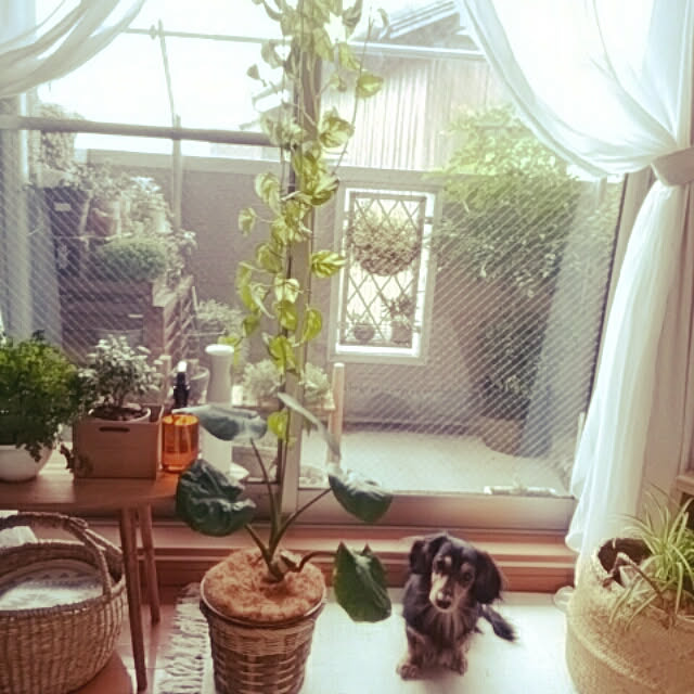reonさんの実例写真
