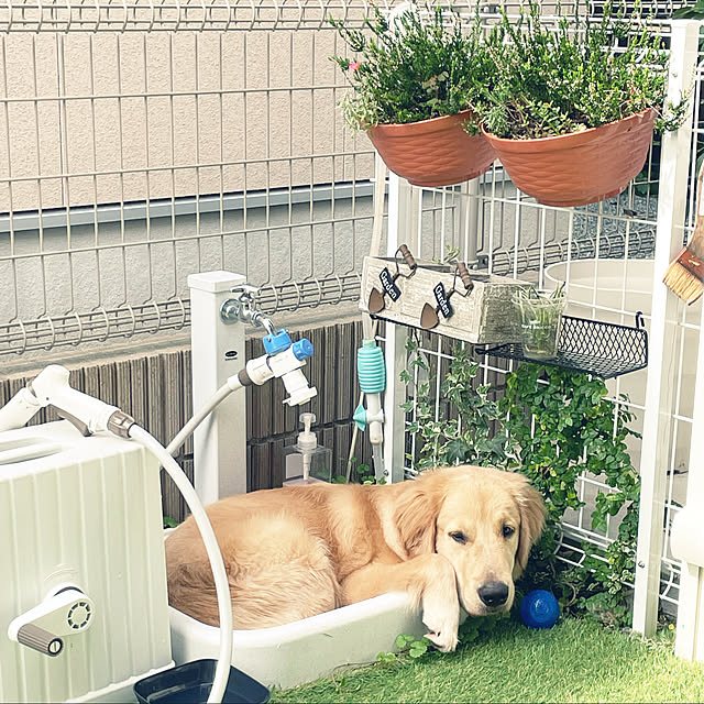 marinkoさんの実例写真