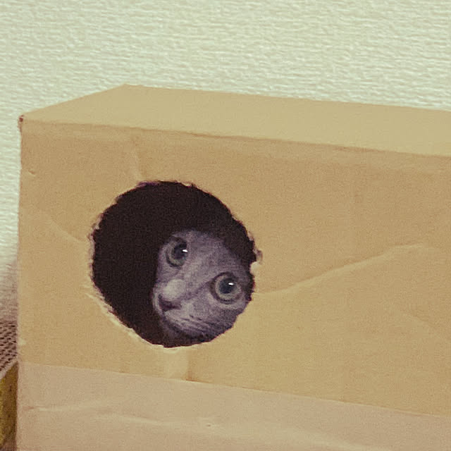 kyonさんの実例写真
