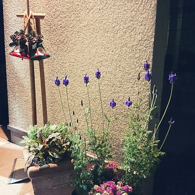 skhrさんの実例写真