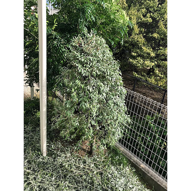 nono.0129さんの実例写真