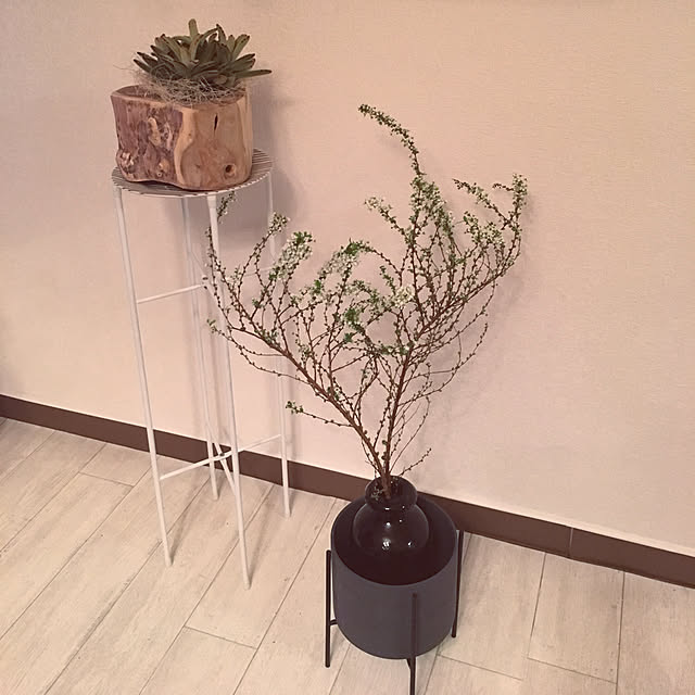 Chamiさんの実例写真