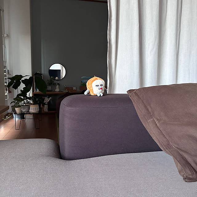 sakiさんの実例写真