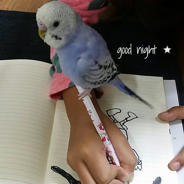 karinさんの実例写真