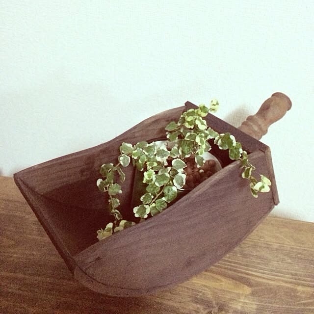 Koikeさんの実例写真