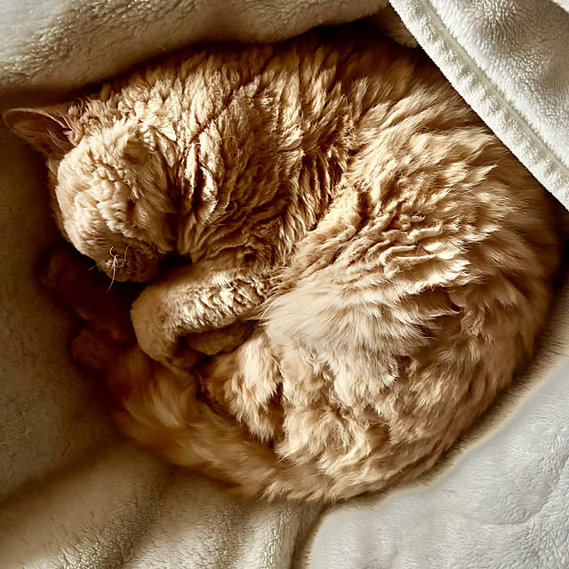 naokoさんの部屋